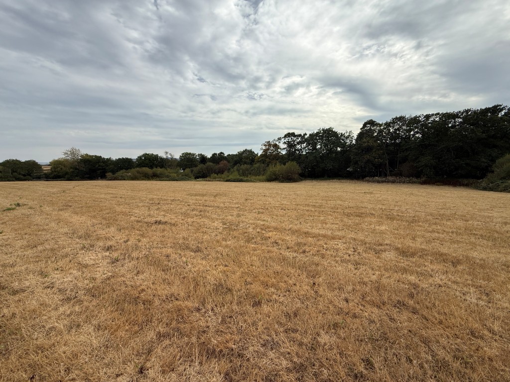 Lot: 43 - LAND WITH PLANNING FOR OVER 50,000 SQUARE FEET OF COMMERCIAL SPACE - Land